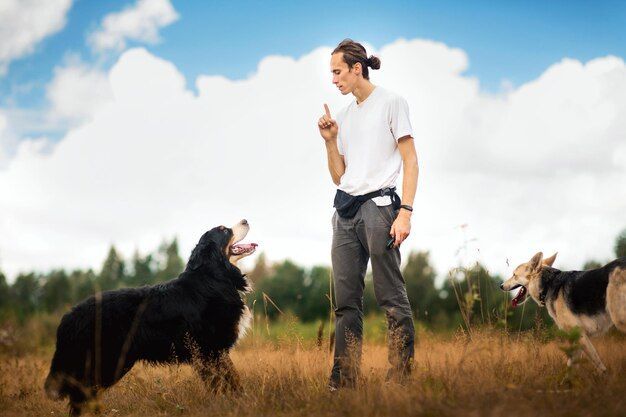 Person training two dogs in a grassy field under a cloudy sky