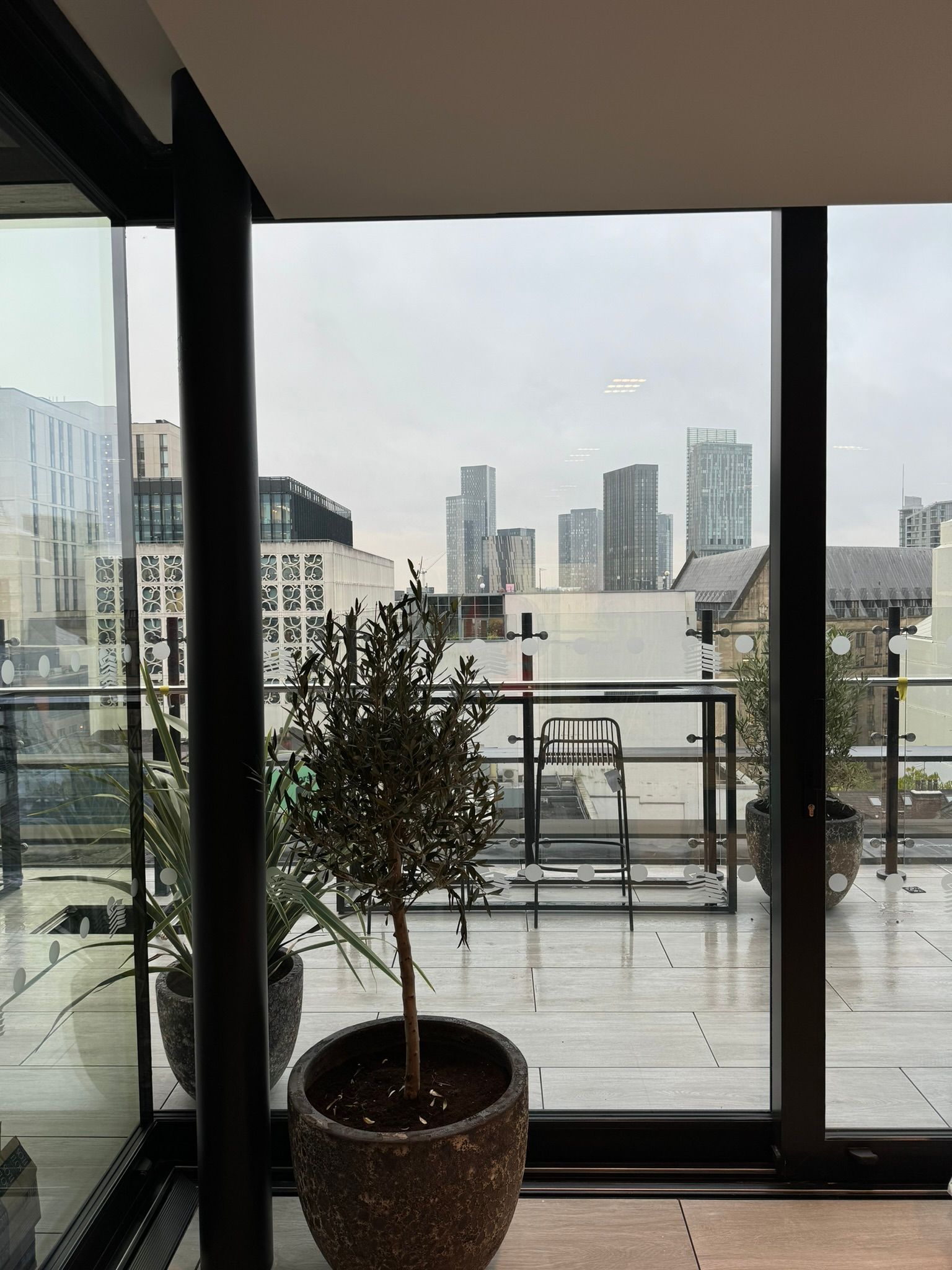 A potted plant sits on a balcony overlooking a city