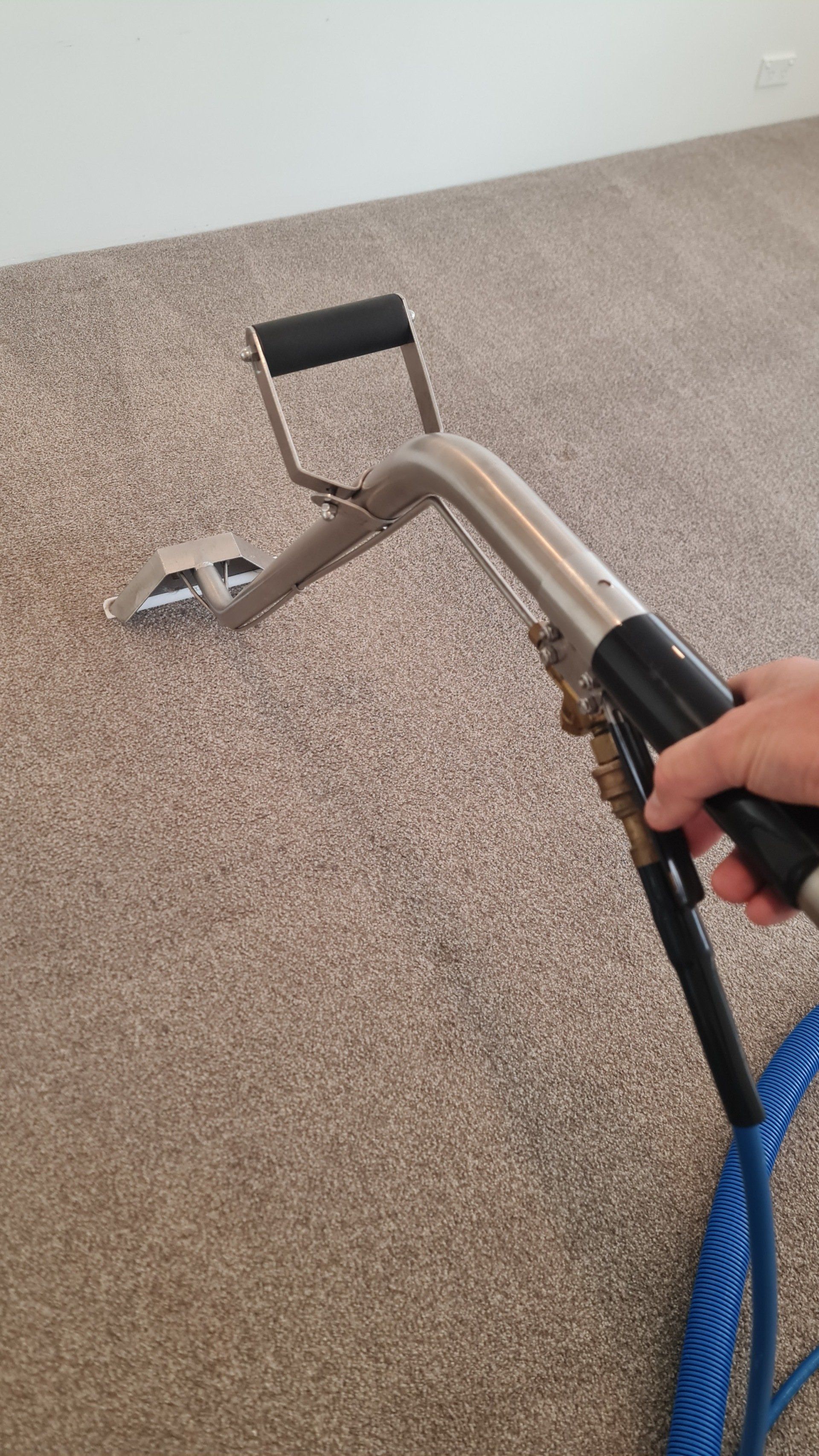 Carpet Cleaning Services — Gold Coast, QLD — John Paul’s Cleaning