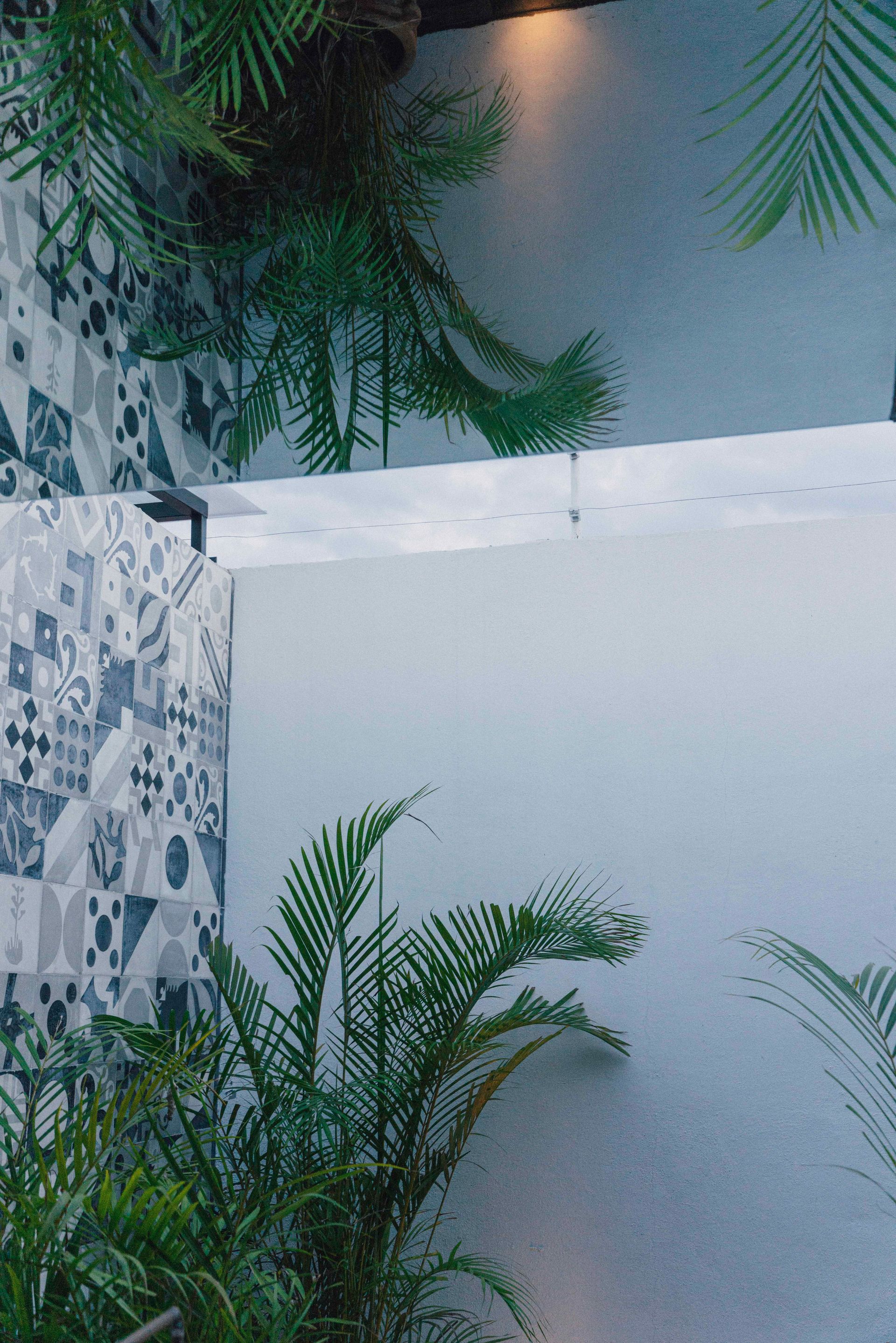 White textured wall with patterned tile on the left and green potted plants below and above