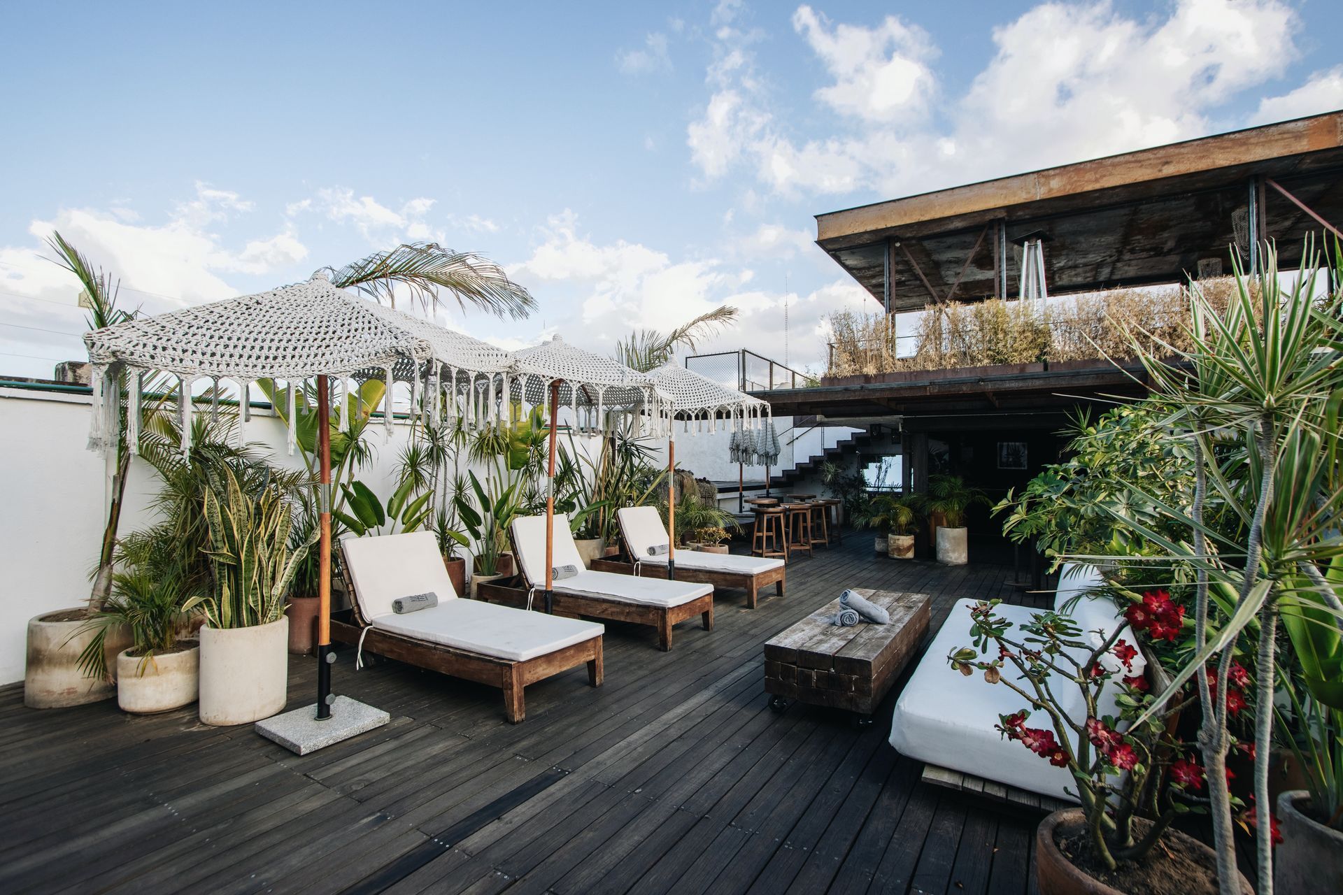 Rooftop lounge with white chaise chairs, potted plants, and pergola seating under a blue sky