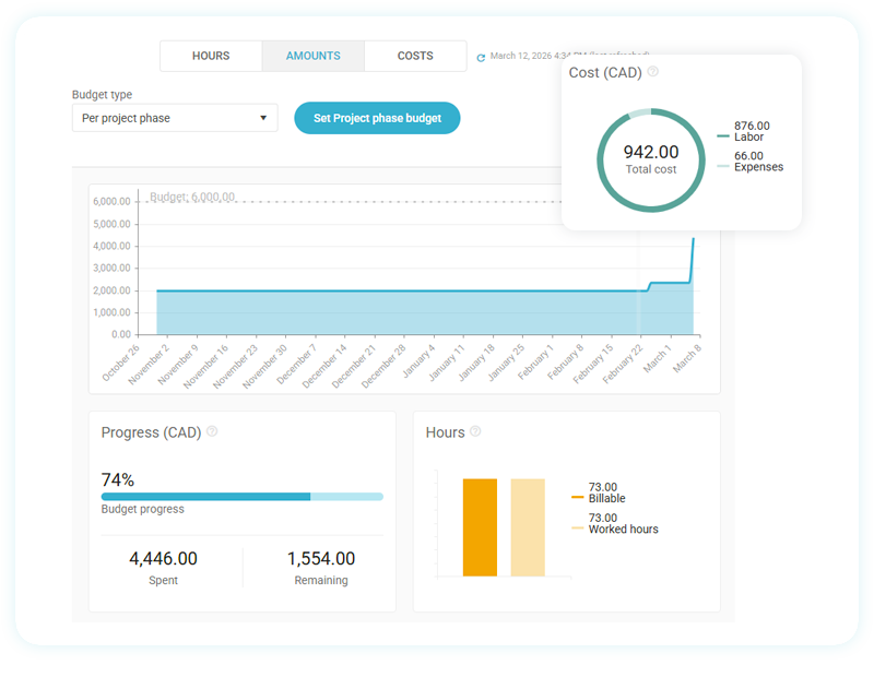 Dashboard showing a project budget with a $6,000 limit, 74% progress, $4,444 spent, and $1,556 remaining.