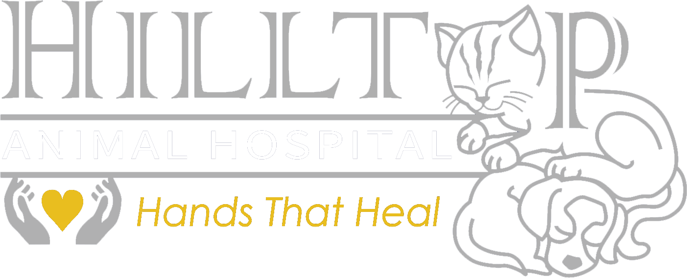 Veterinarian Palatine, IL Hilltop Animal Hospital