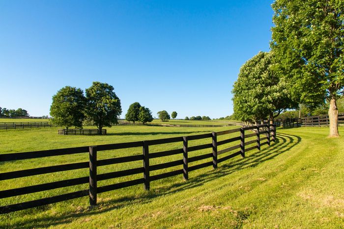 Green pastures fences for horse farms