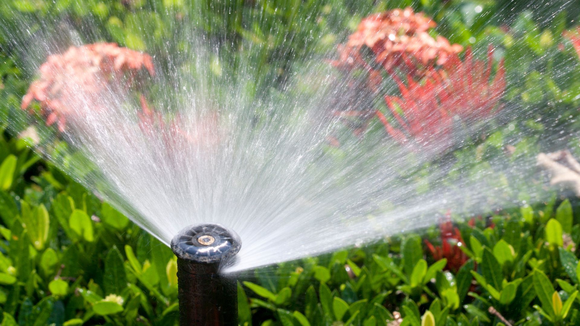 Choosing professional sprinkler repair in Rhode Island