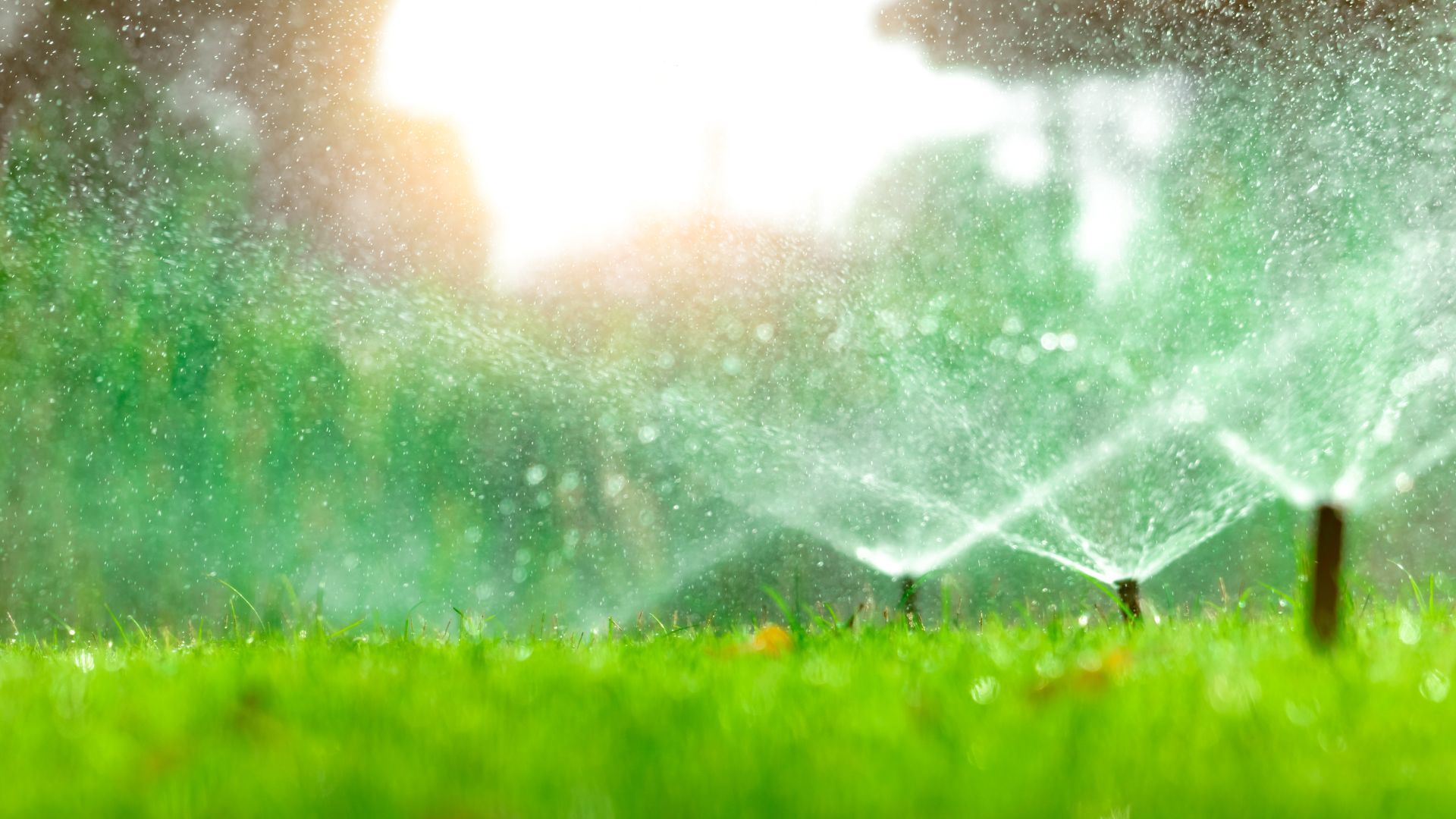 Technician inspecting residential sprinkler system in Rhode Island