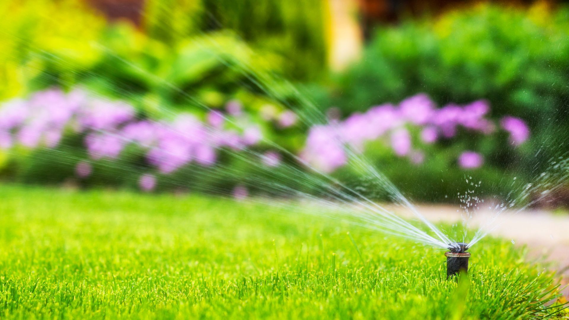 Broken sprinkler head repair in Rhode Island