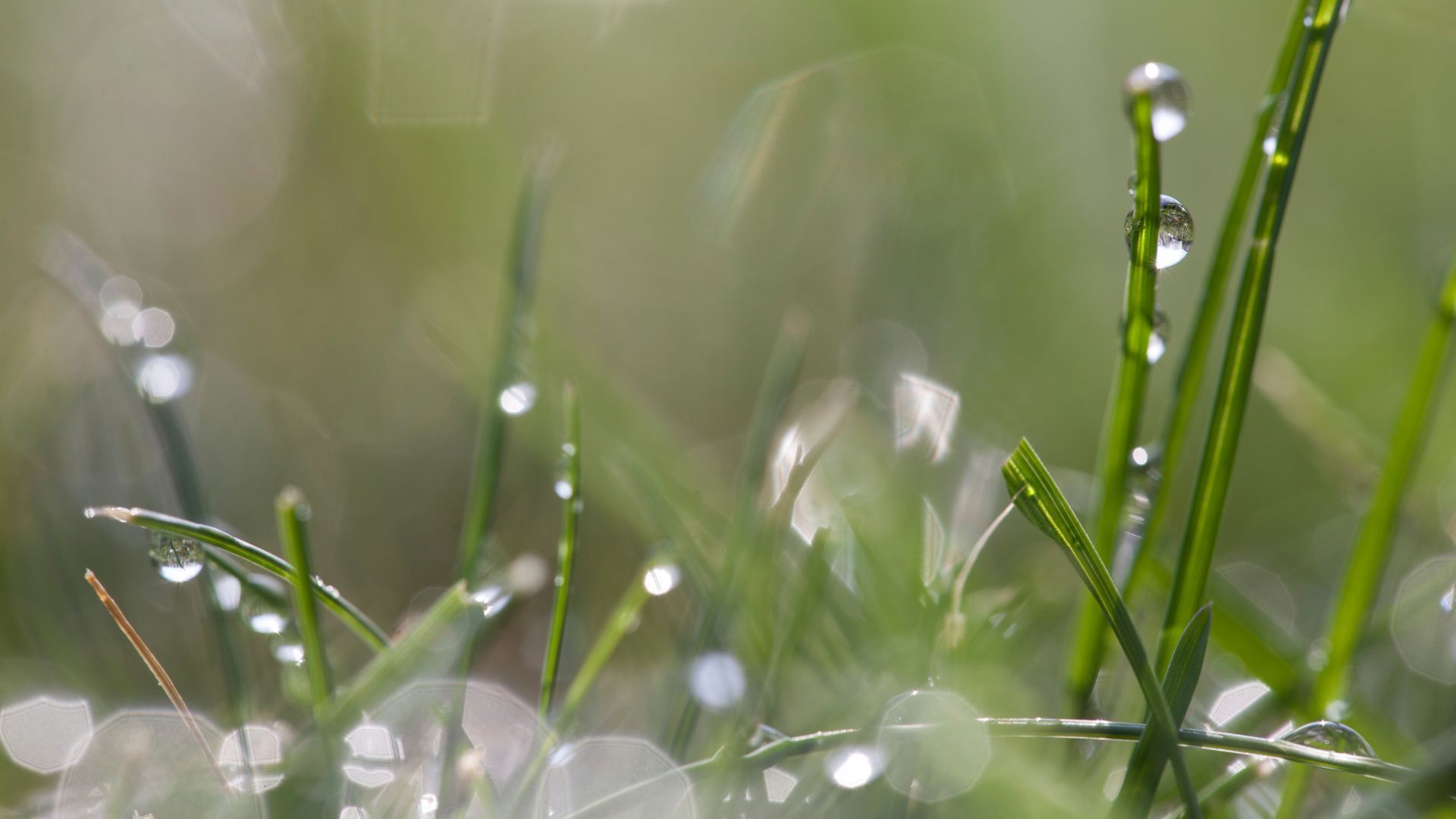 Professional tools for sprinkler system repair in Rhode Island