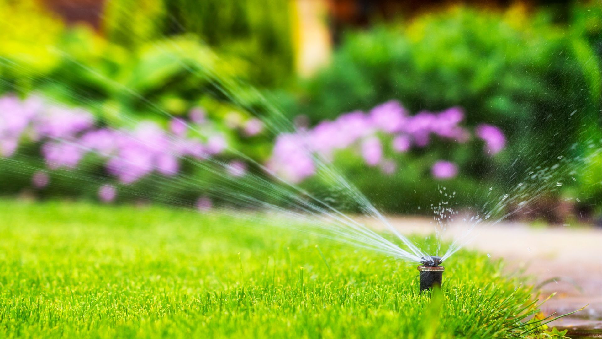 Sprinkler coverage zone inspection in Rhode Island