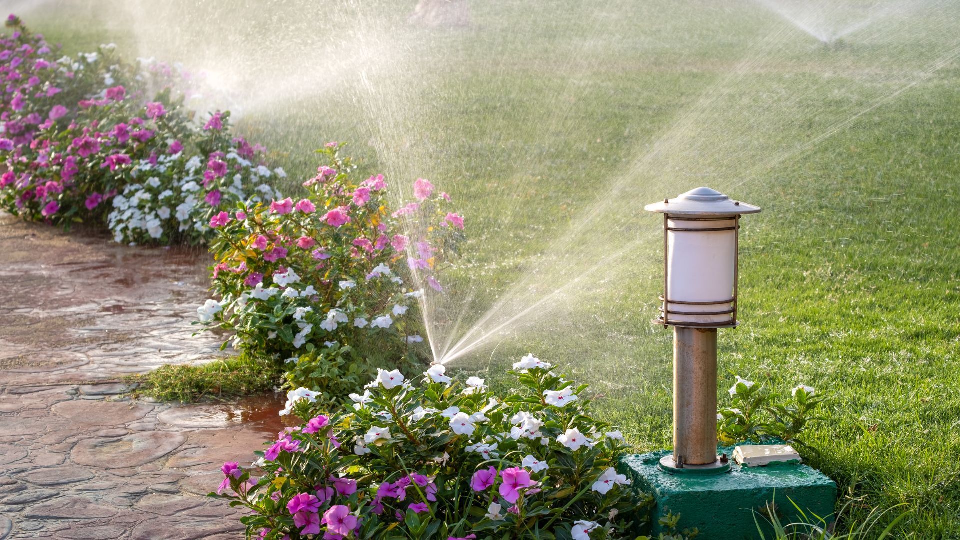 Lawn irrigation system installation in Rhode Island by JMG Sprinklers