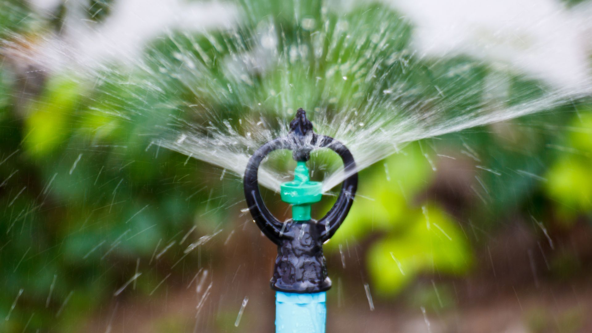 Residential sprinkler system repair costs in Rhode Island Residential sprinkler system repair costs in Rhode Island