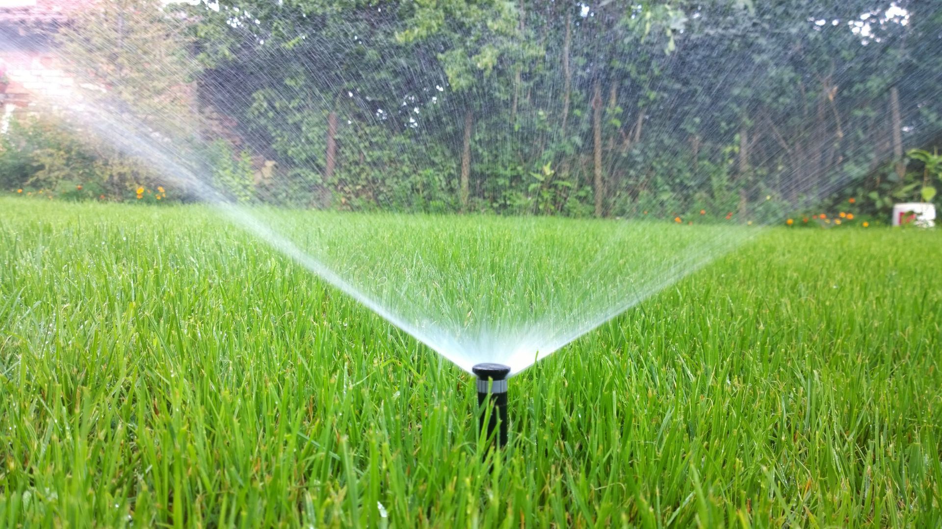 Backflow preventer inspection for Rhode Island sprinkler system