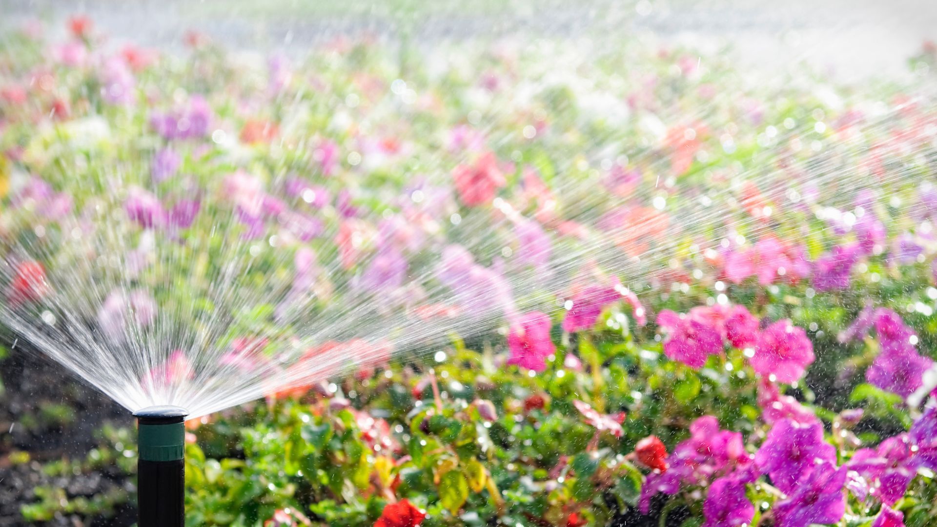 DIY vs professional sprinkler repair in Rhode Island DIY vs professional sprinkler repair in Rhode Island