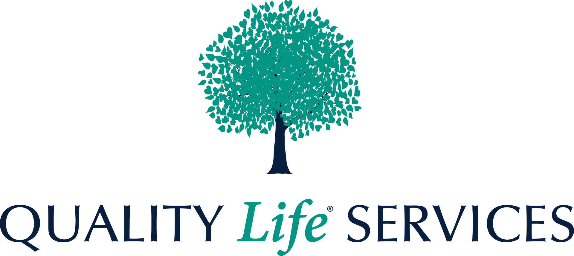 QLS Logo | Careers in Elderly Care, Skilled Nursing, PT, OT, Speech Therapy, Healthcare Billing