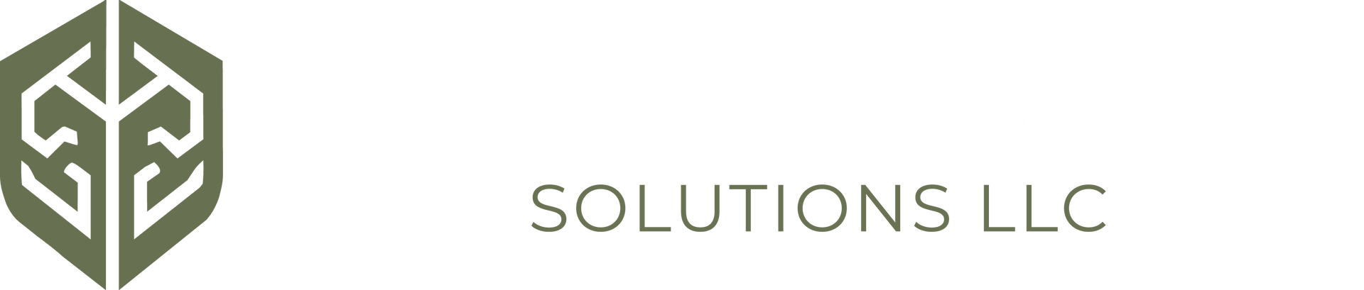 Green geometric logo with “SOLUTIONS LLC” text on a light background