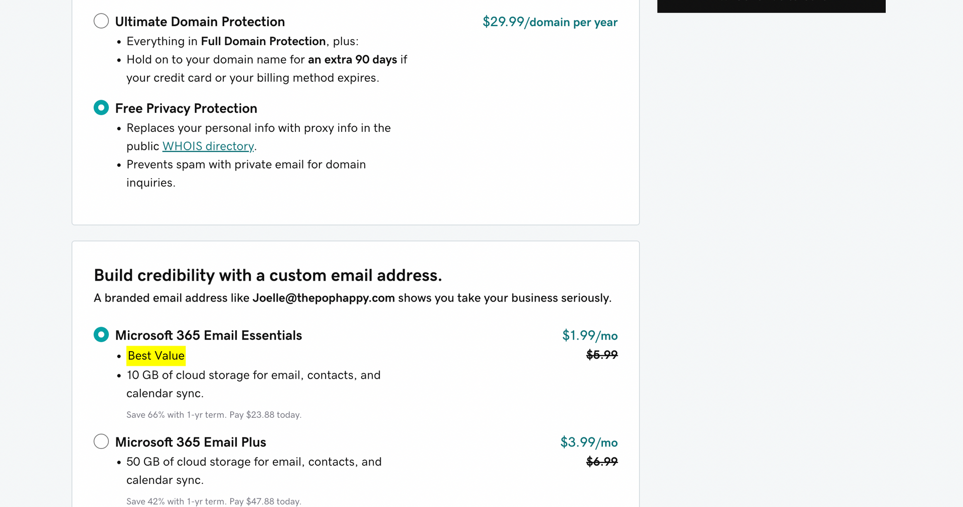 screenshot of godaddy extra options for domain