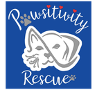 Pawsitivity Rescue Pawsitivity Rescue