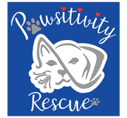 Pawsitivity Rescue Pawsitivity Rescue