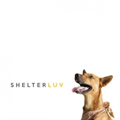 Shelterluv Shelterluv