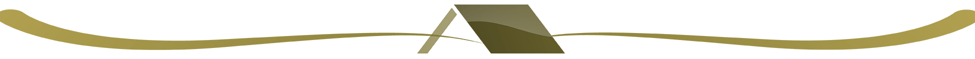 Logo Apex Toitures