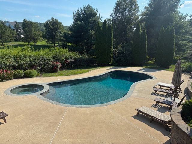 Swimming pool with bench, waterfall, and shed in a sunny backyard setting.