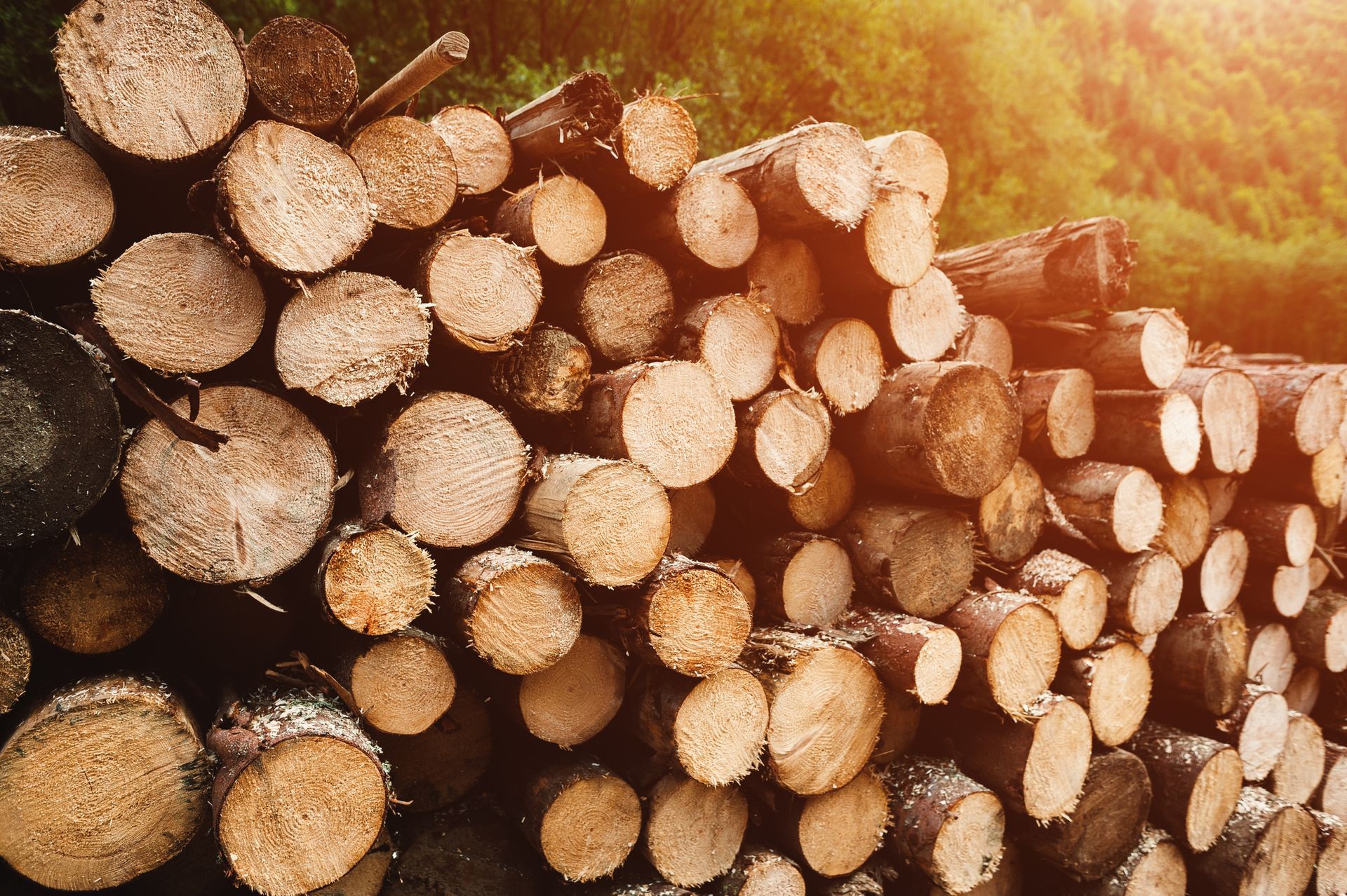Logs — Hermitage, TN — Angove’s Firewood
