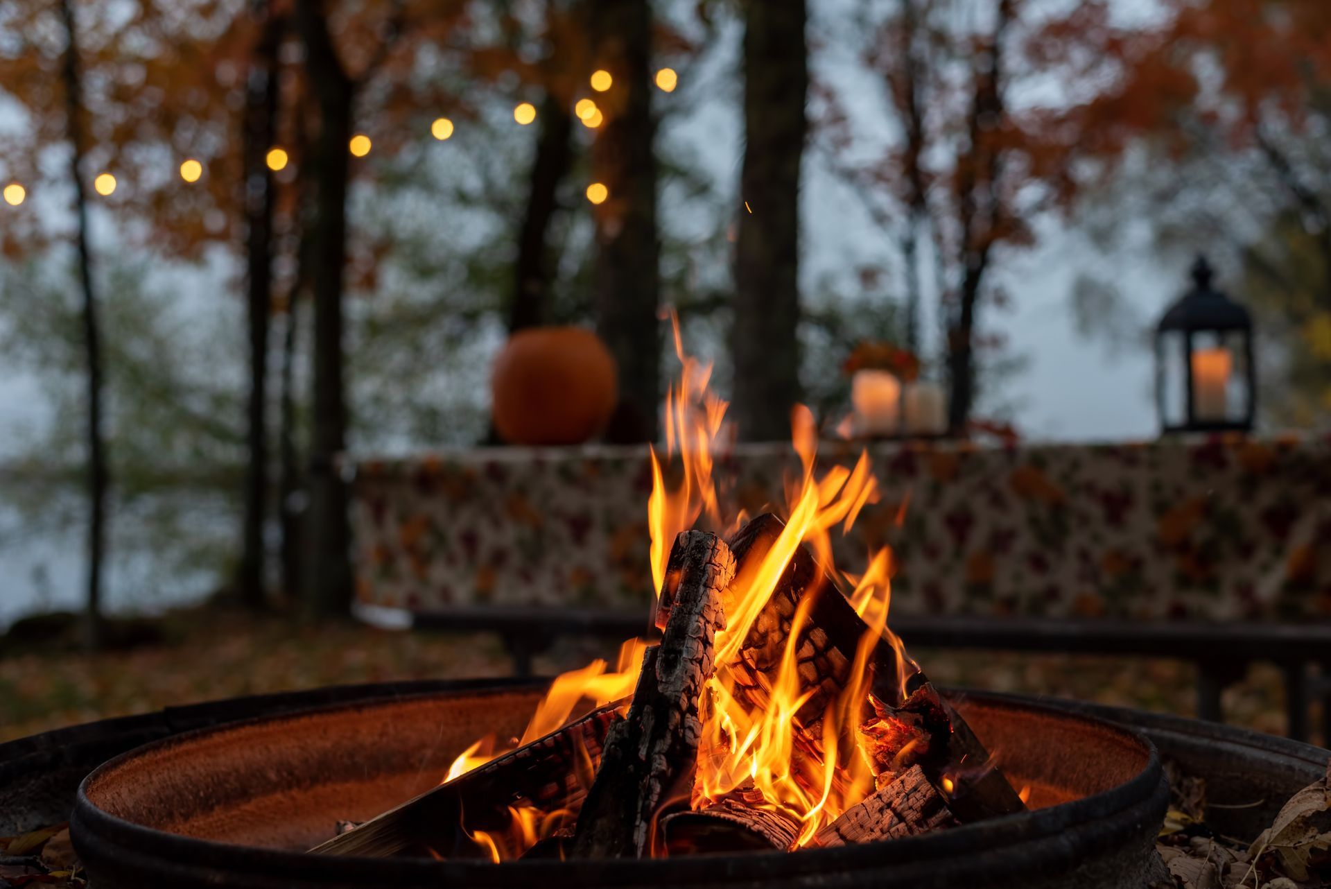 Outdoor Fire Pit — Hermitage, TN — Angove’s Firewood