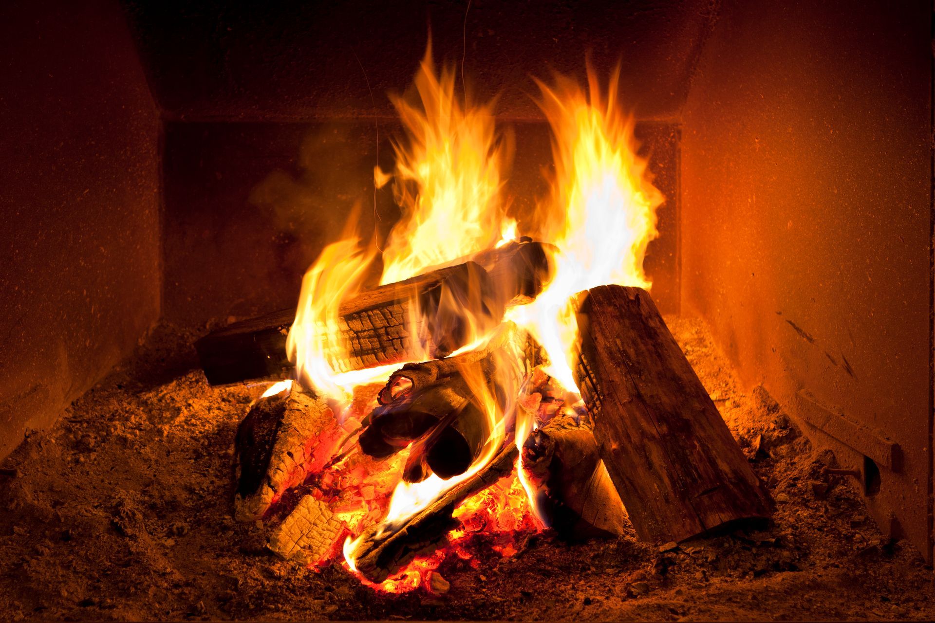 Firewood in Fireplace — Hermitage, TN — Angove’s Firewood