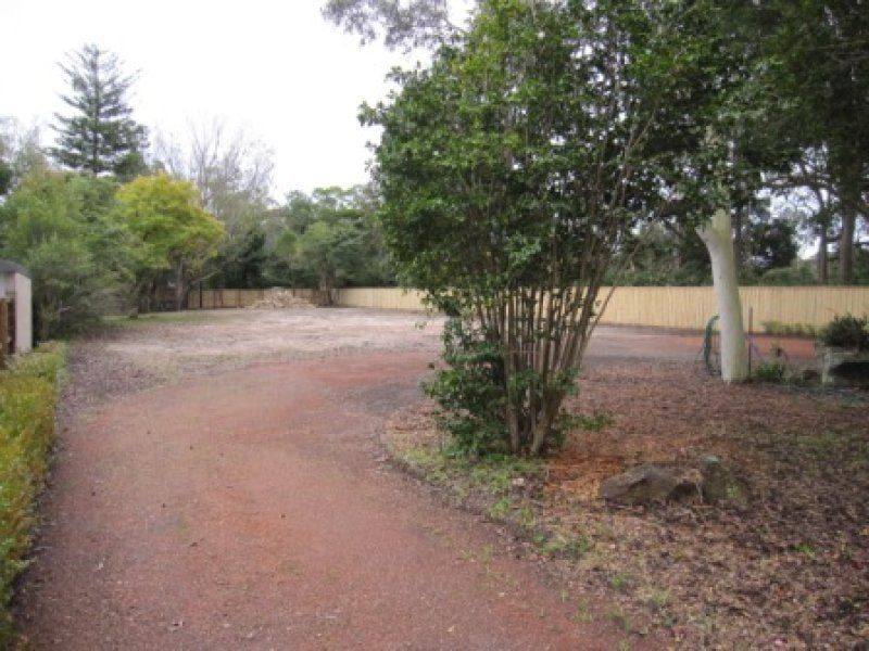 A dirt road with trees on both sides of it