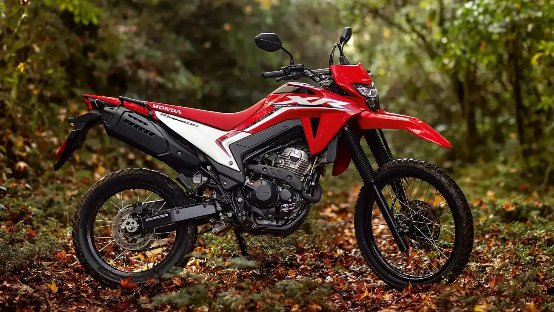 Red and black motorcycle parked on a forest trail with autumn leaves on the ground