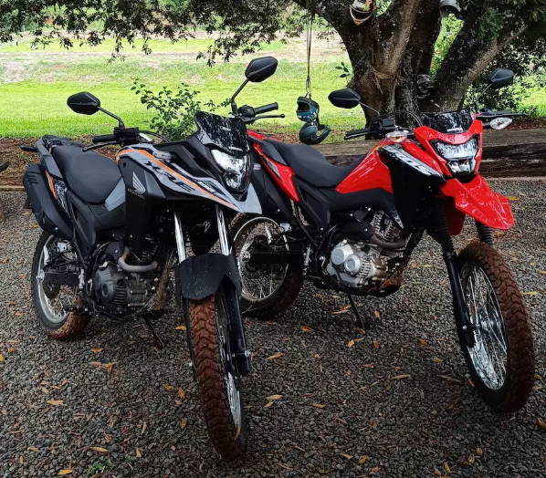 Three dirt bikes parked on gravel under a tree, including black, gray, and red bikes.