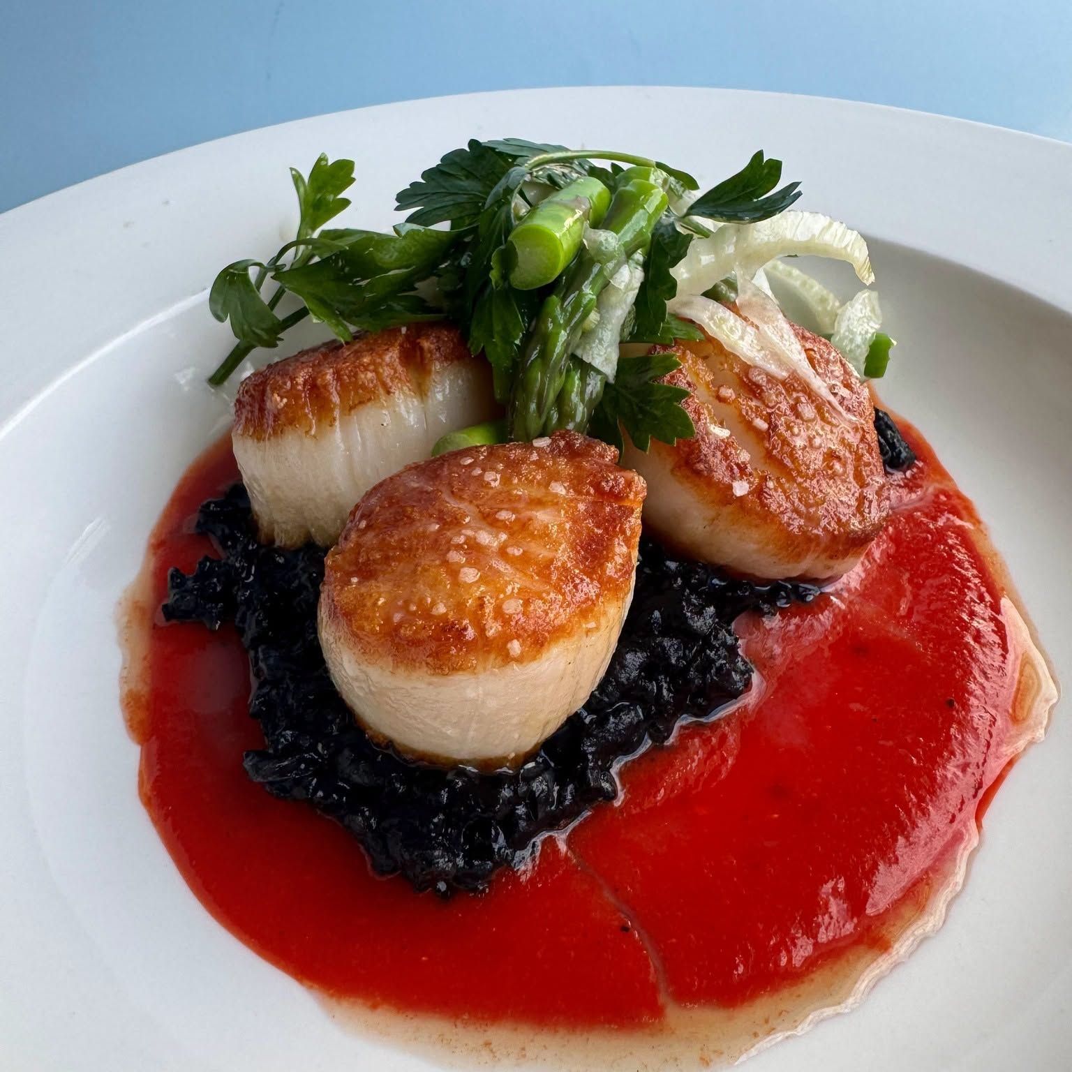 Seared scallops on black risotto with red sauce and greens on a white plate