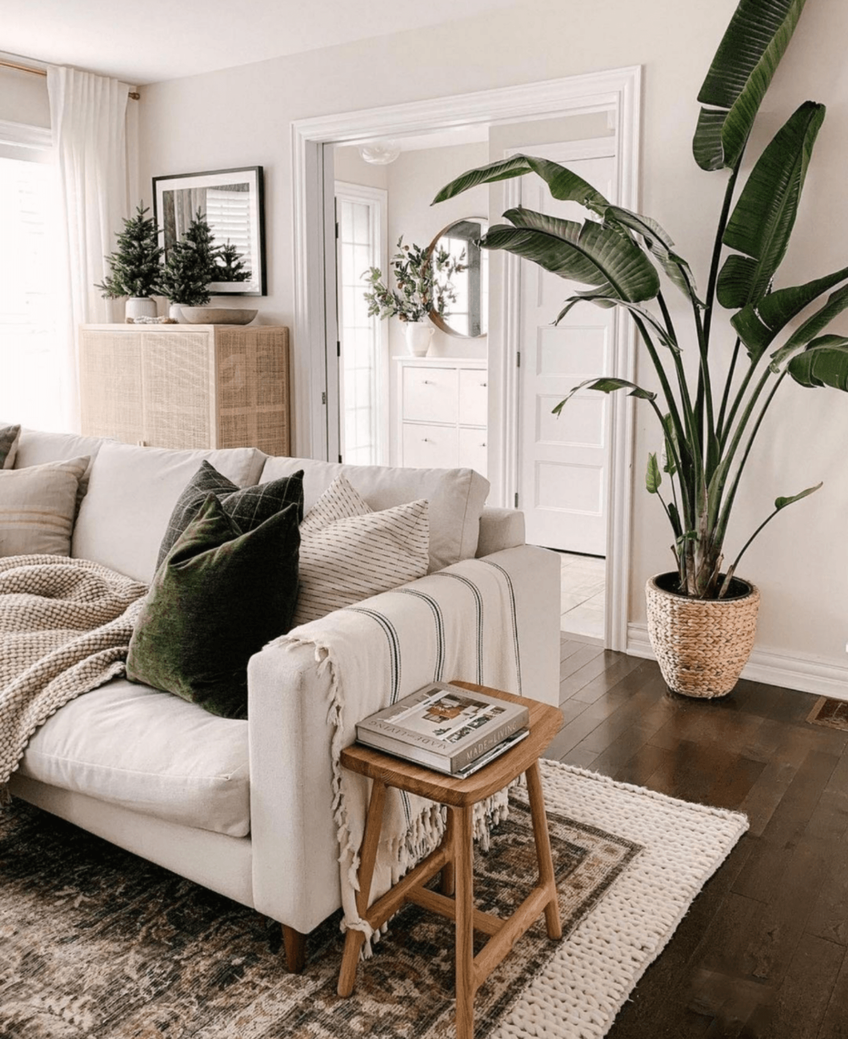 Cozy beige living room with cream sofa, woven decor, dark wood floor, and a tall potted palm
