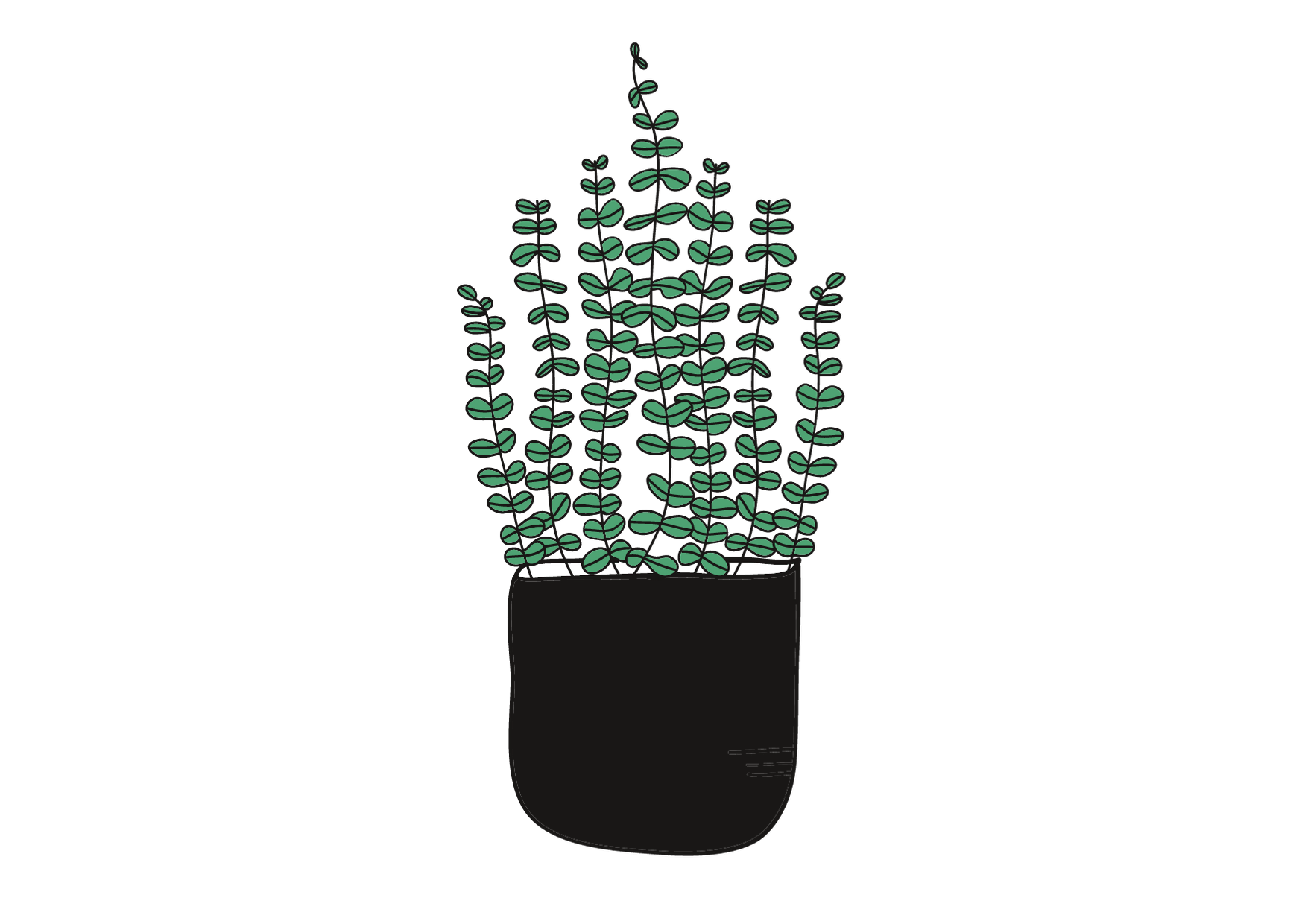 A stylized, black potted plant with multiple stems of small, round, sage-green eucalyptus leaves on a white background.