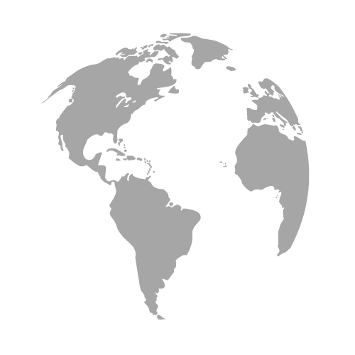 Stylized gray globe showing the Americas, Europe, and Africa on a white background