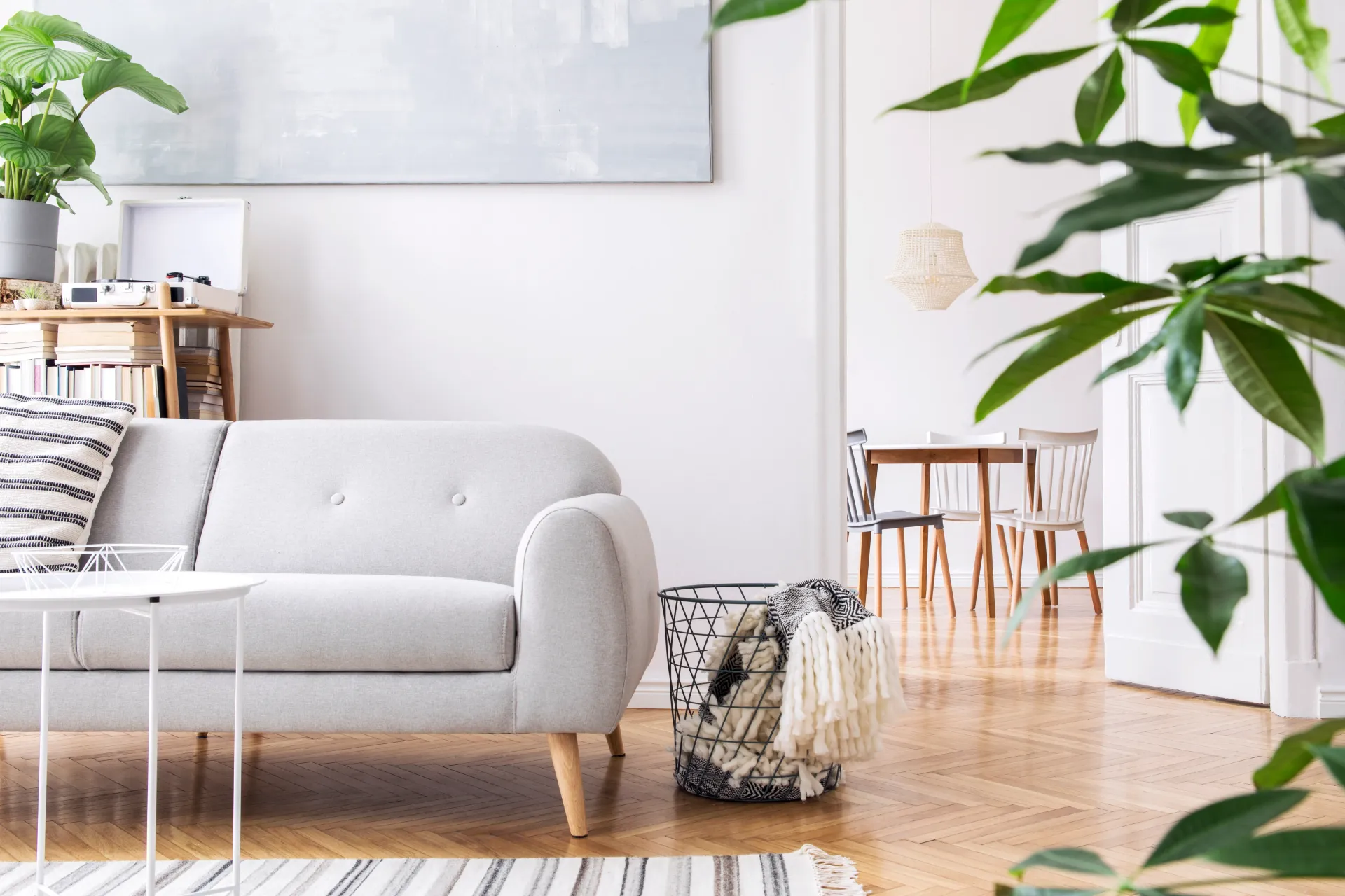 A clean living room setting cleaned by organically maid team and products