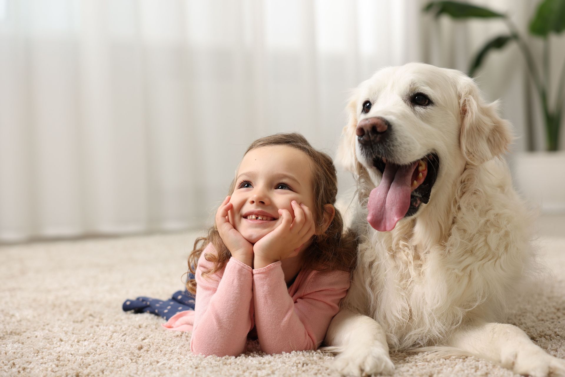 house cleaning services
