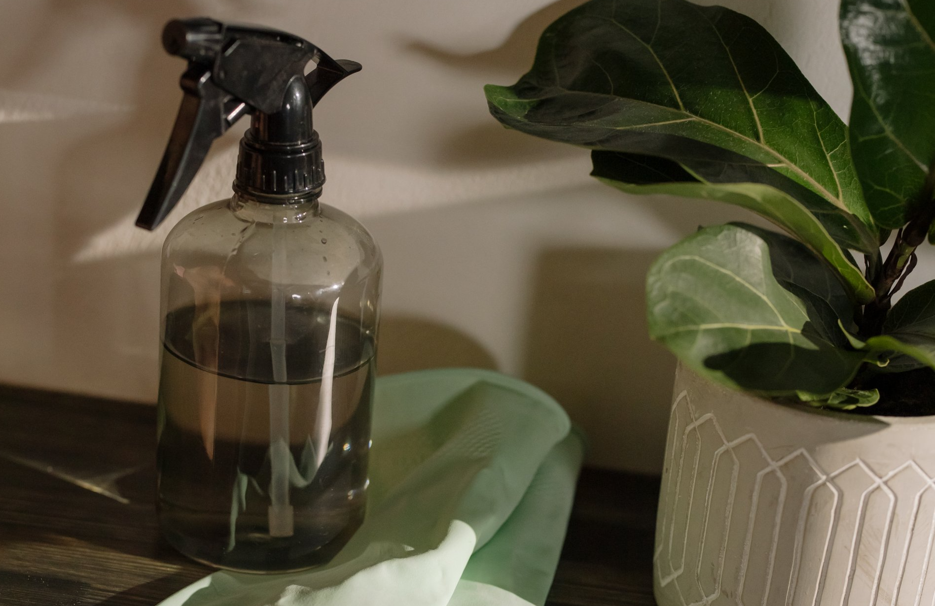 Glass spray bottle on a table beside a green cloth and a potted plant