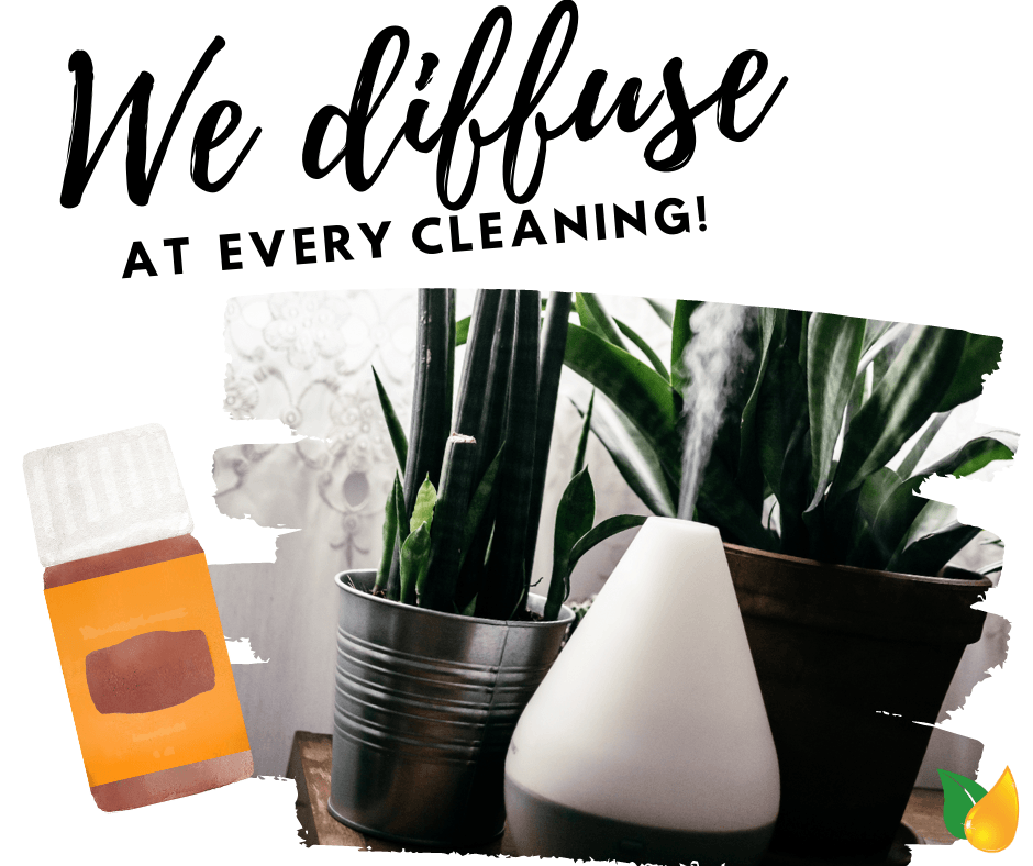 Promotional graphic: “We diffuse at every cleaning!” with plant and diffuser bottles on a white background