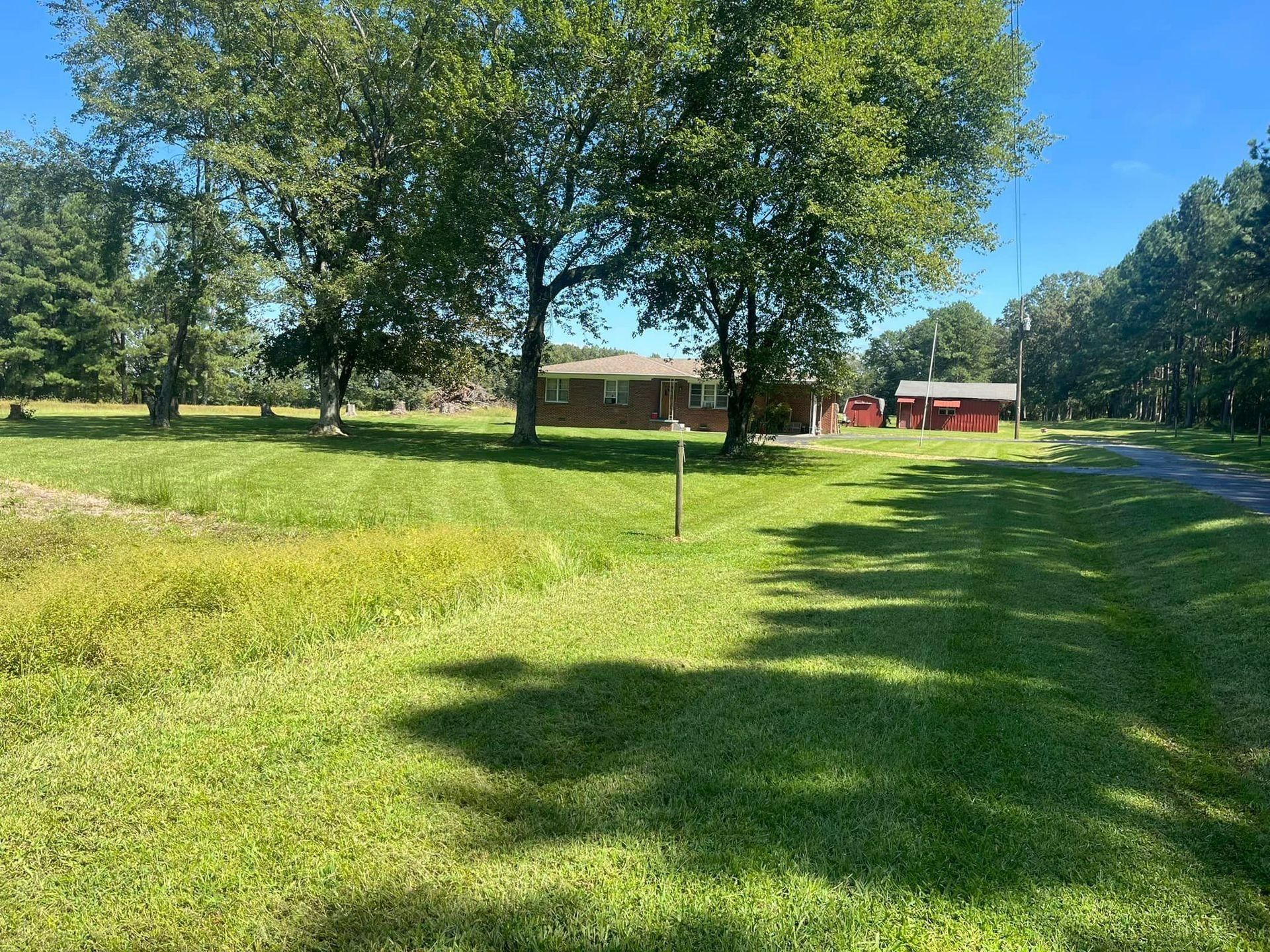 Grassy field with trees and a few buildings under a blue sky.