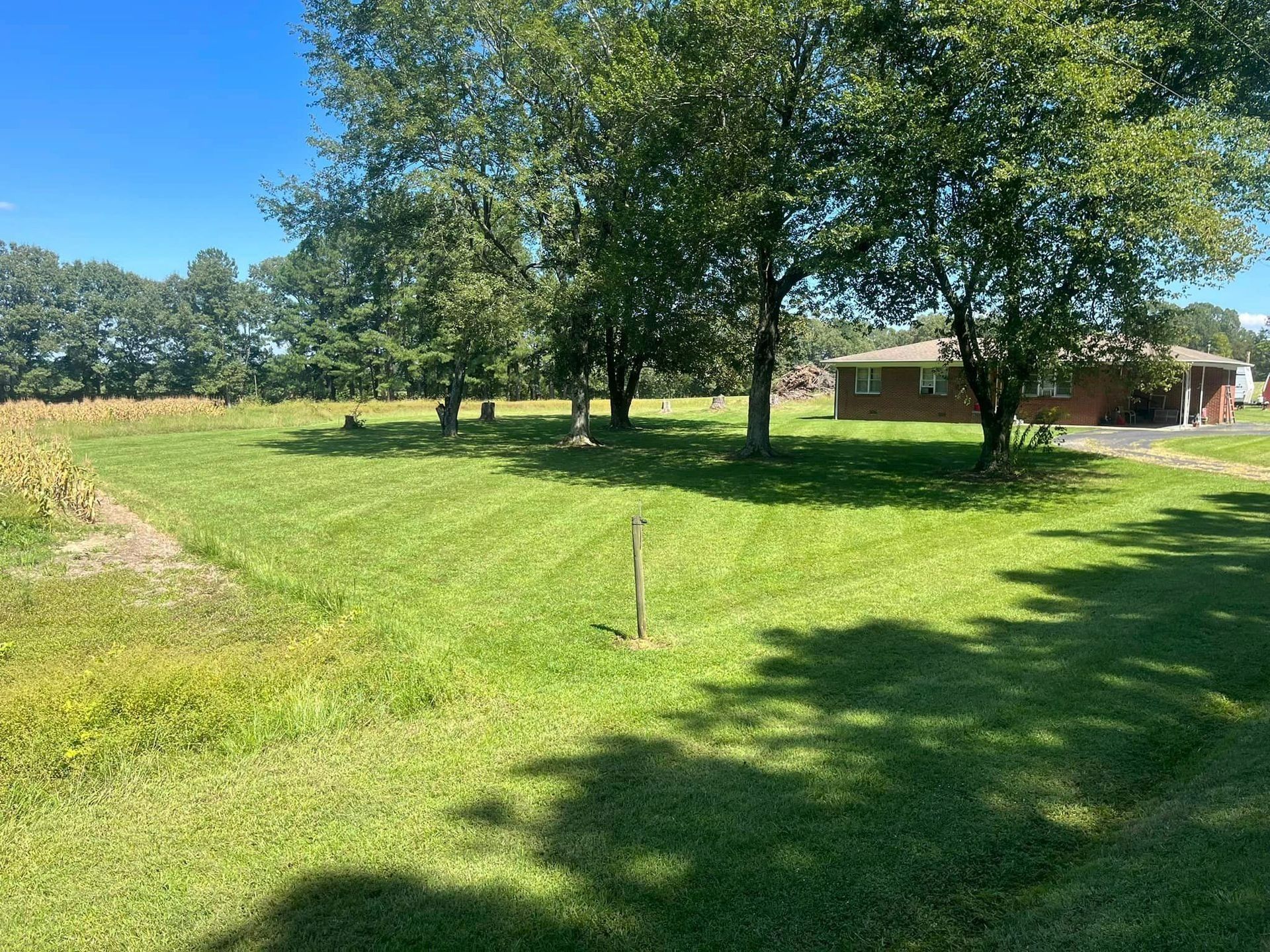 A grassy yard with trees, and a brick house under a blue sky.