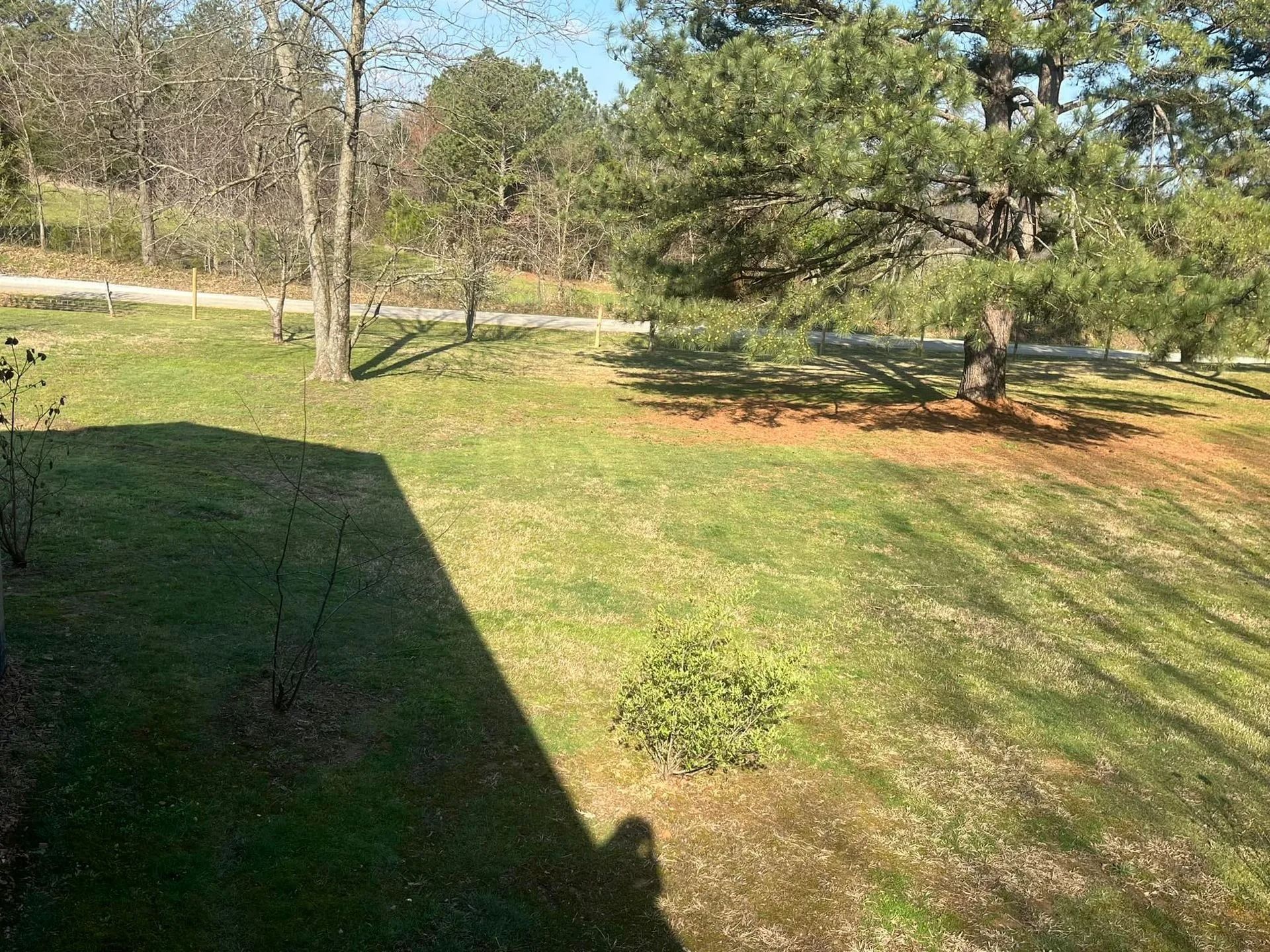Green field with trees and shadow on the left under a blue sky.
