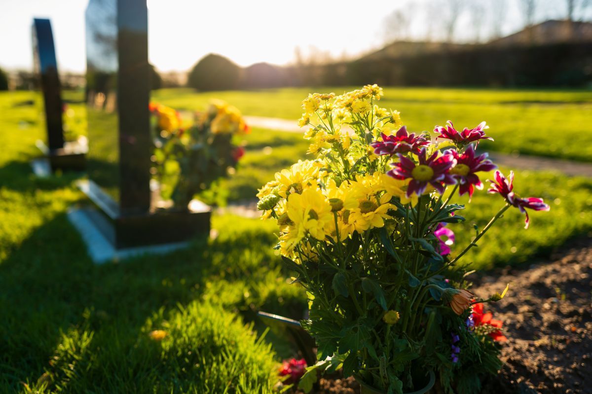 A woman is holding a white rose in front of a coffin at a funeral.