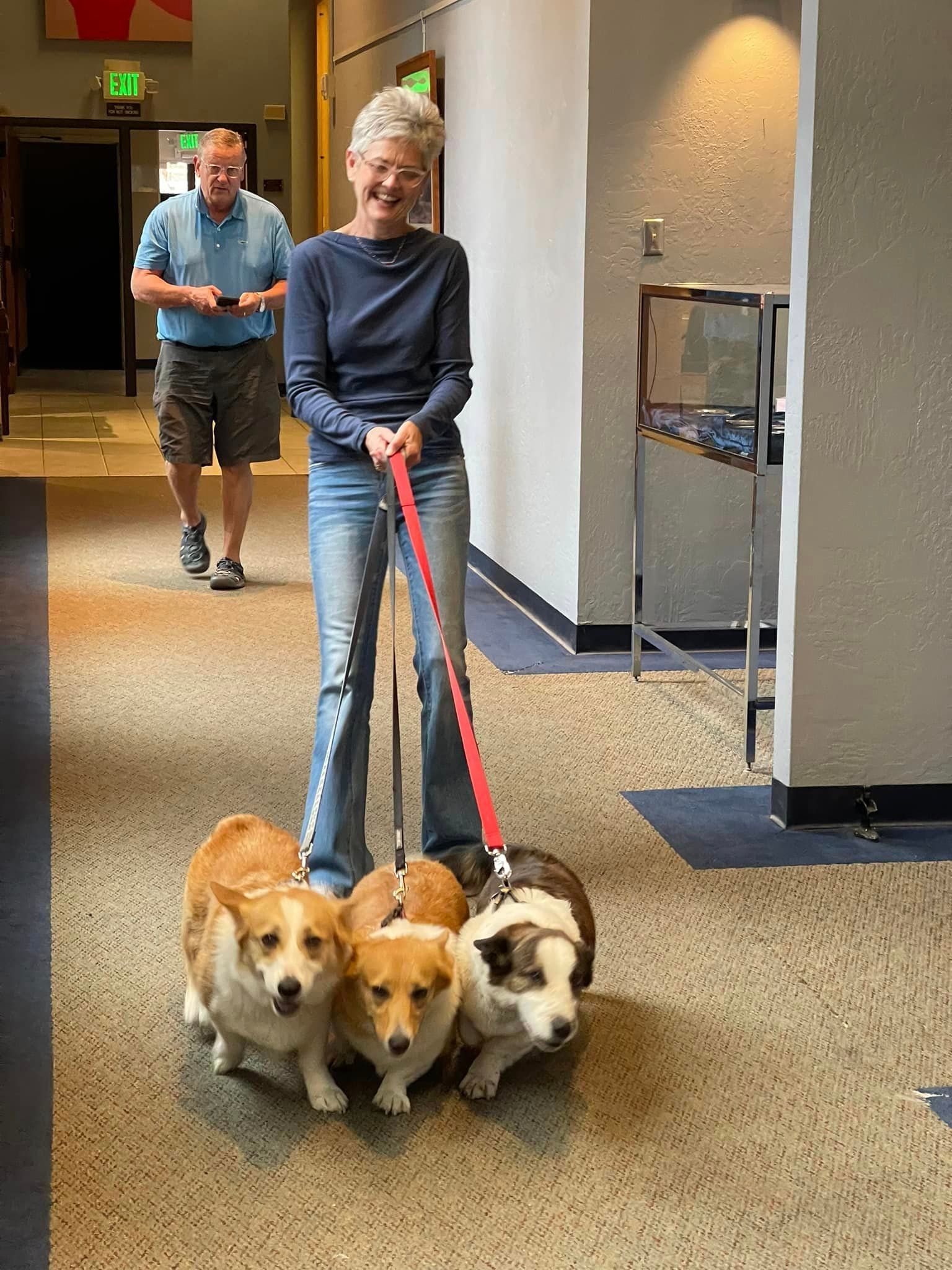 Cathedral of St John's Blessing of the Animals