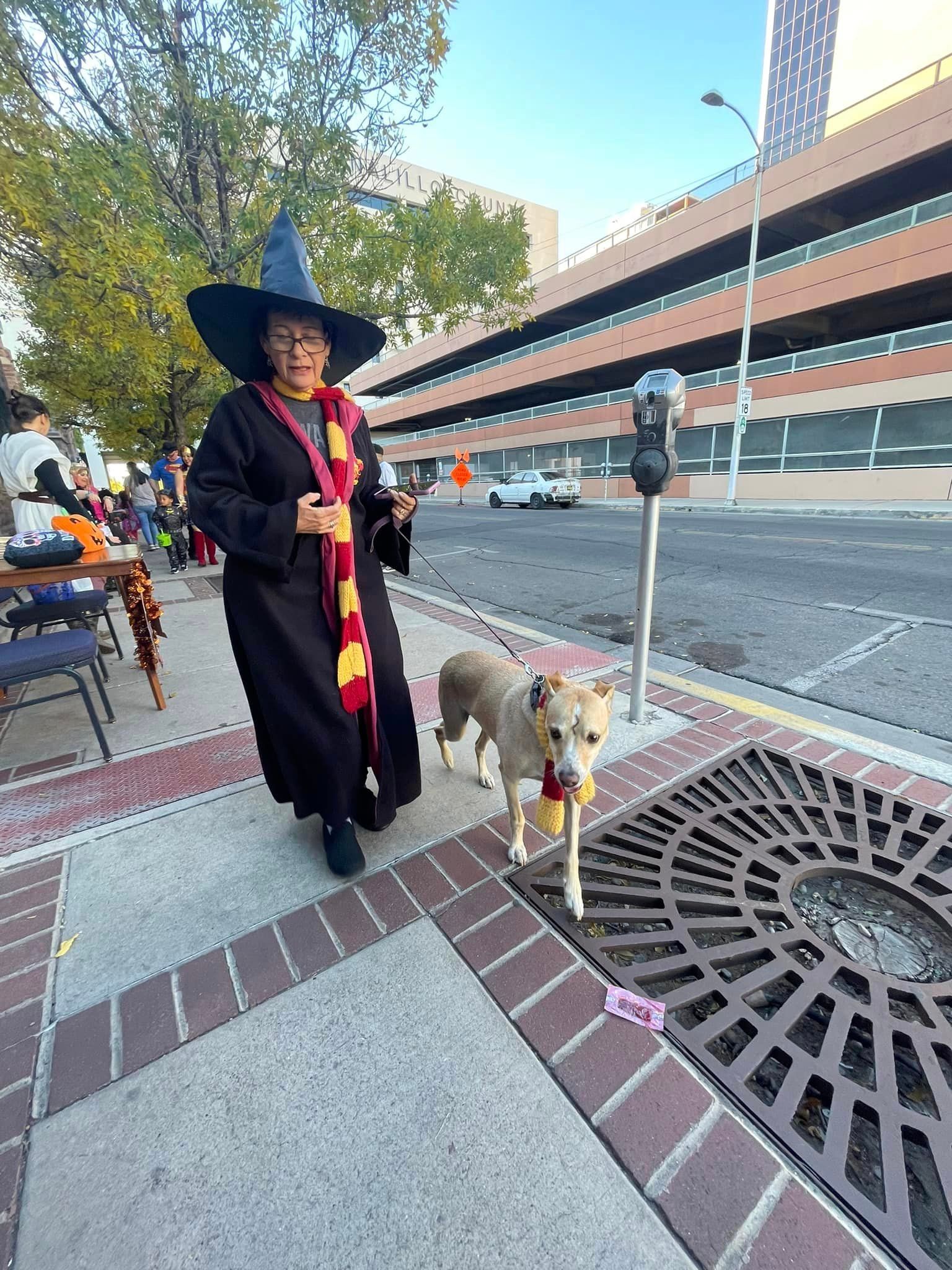 Cathedral of St John's Trunk or Treat