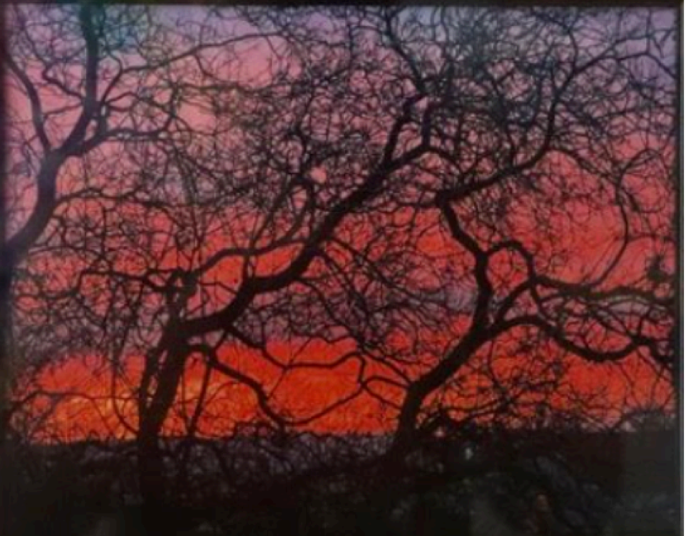 MORNING GLOW by Kristina Maulden photograph