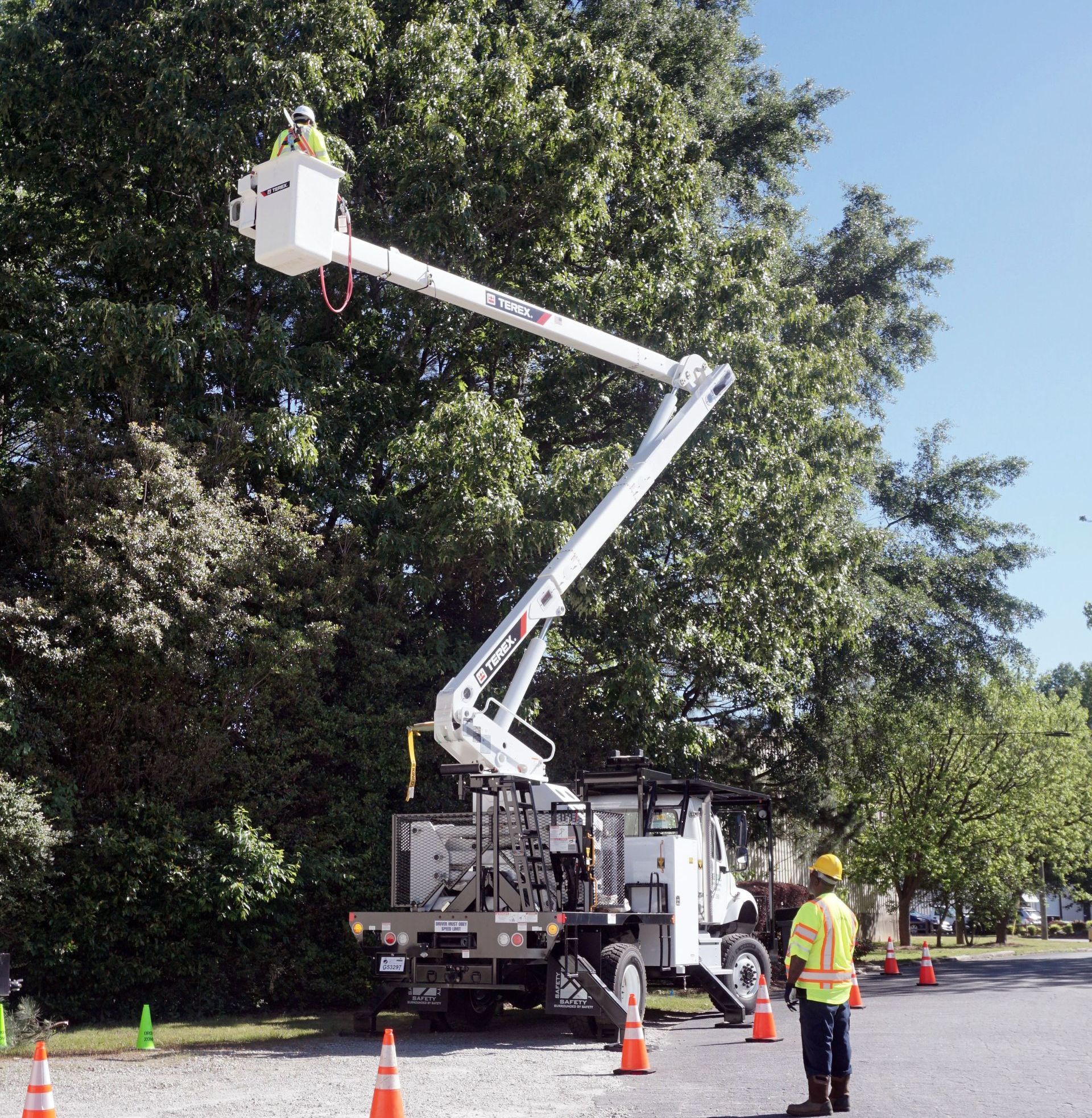 Vegetation Management Kendall Professional Tree Service