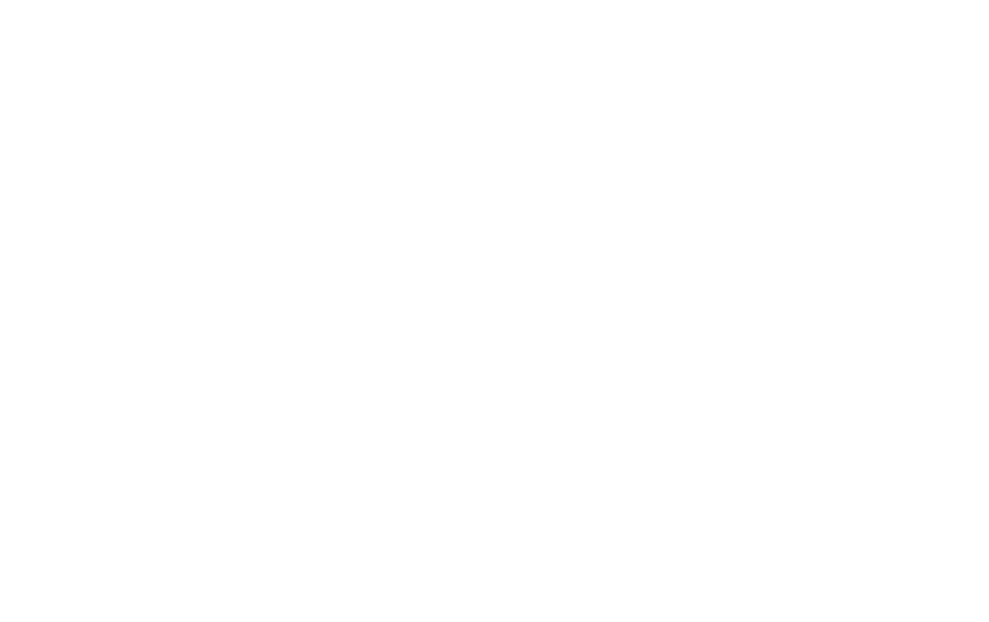 SNEA - Sindicato Nacional das Empresas Aeroviárias