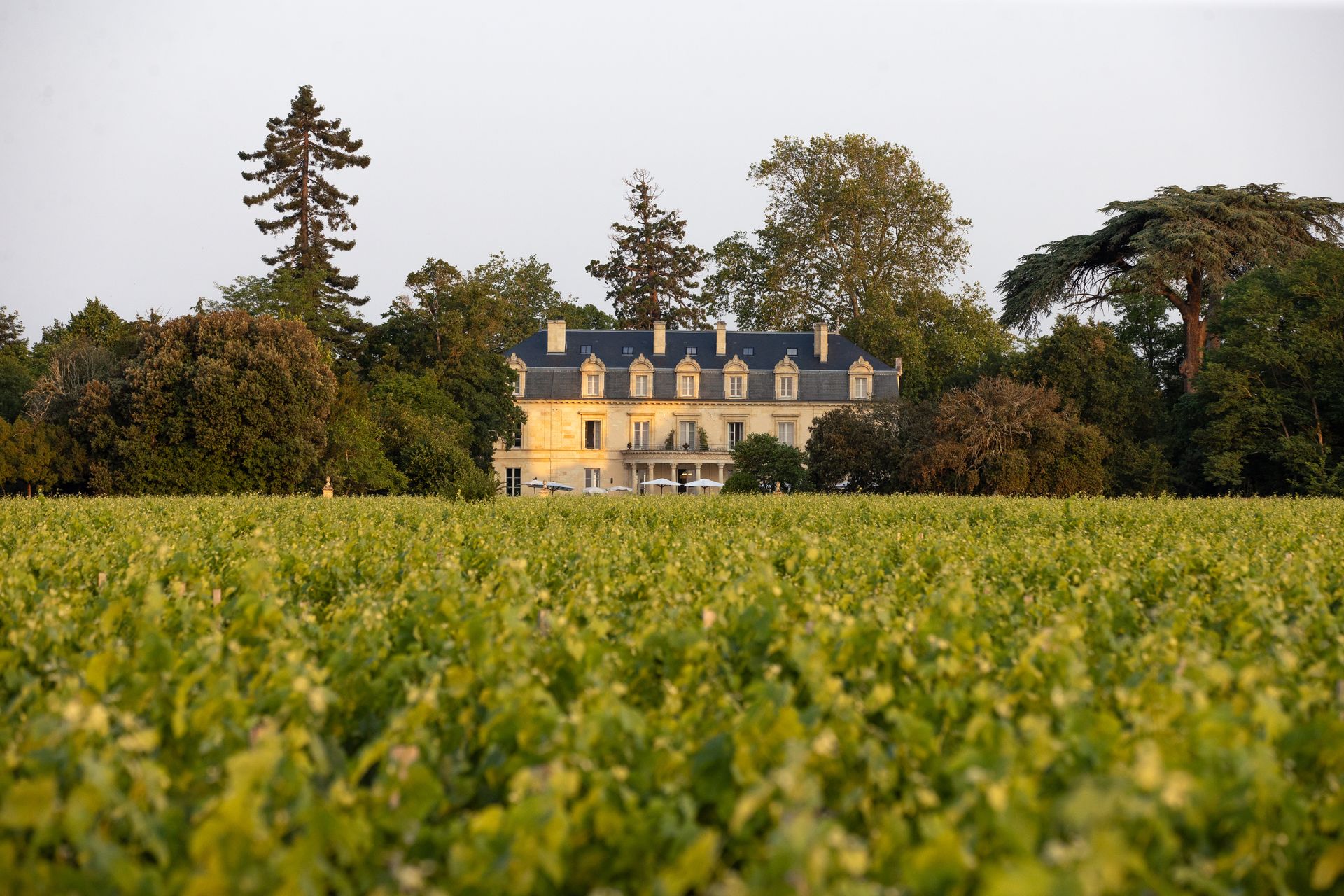 La Maison D'Estournel