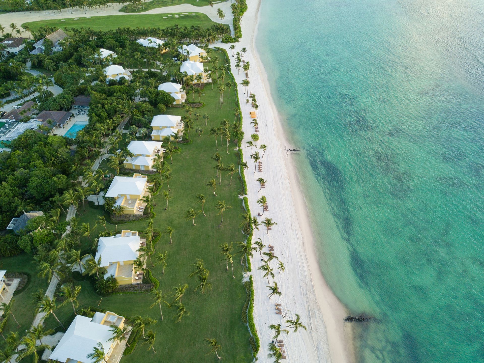 Tortuga Bay | Dominican Republic